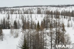 Правительство РФ поддержало решение о раздаче бесплатной земли в арктических районах ХМАО