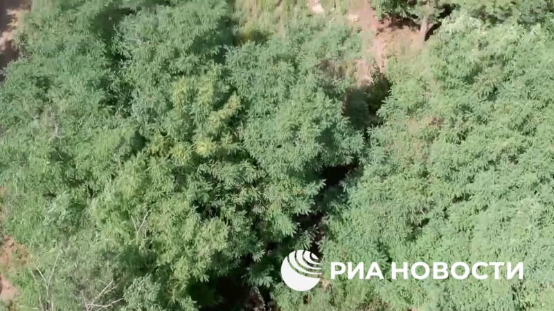 В Курской области нашли ящики с патронами натовского образца